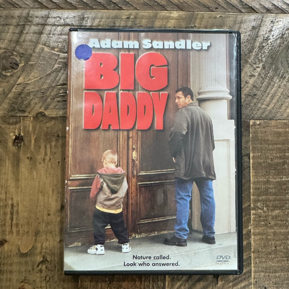 Big Daddy (DVD, 1999) Adam Sandler